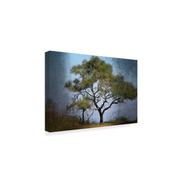 Beata Czyzowska Young 'Moody Tree' Canvas Art,22x32